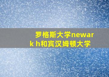 罗格斯大学newark h和宾汉姆顿大学